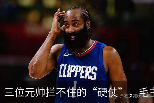 三位元帅拦不住的“硬仗”，毛主席图什么？