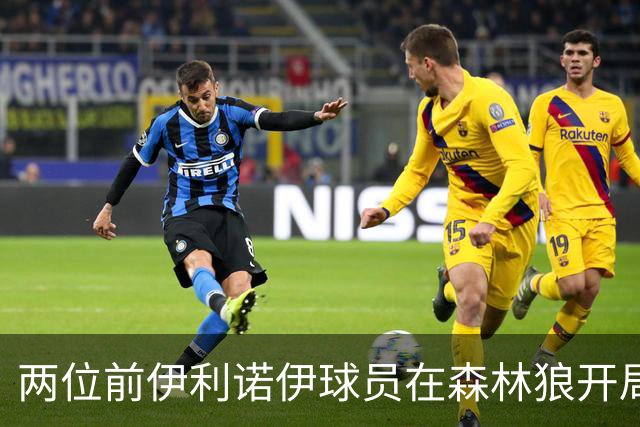 两位前伊利诺伊球员在森林狼开局抢眼，多苏穆场均12分香农13分