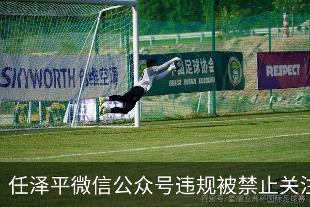 任泽平微信公众号违规被禁止关注，网友：听课股民亏得一塌糊涂