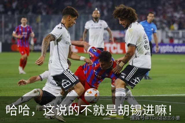 哈哈，这说的不就是胡锡进嘛！