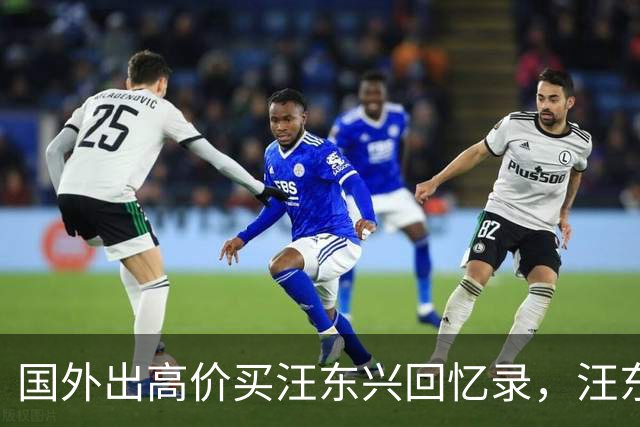 国外出高价买汪东兴回忆录，汪东兴：我要写了，就没脸再见毛主席