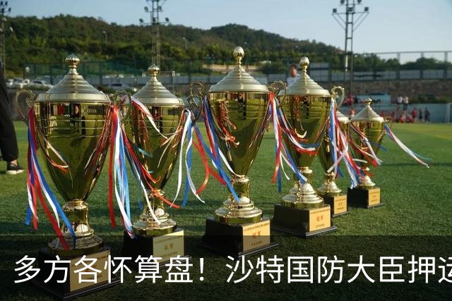 多方各怀算盘！沙特国防大臣押运10亿美元飞去伊朗，求胡塞停火？
