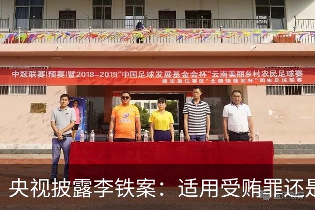 央视披露李铁案：适用受贿罪还是非国家工作人员受贿罪？