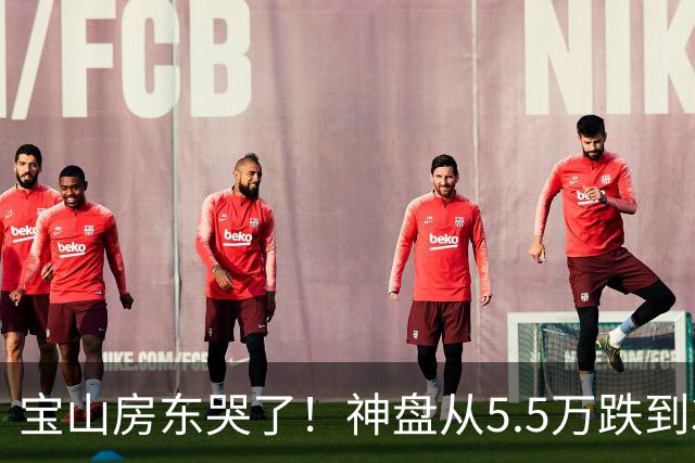 宝山房东哭了！神盘从5.5万跌到3.6万，一套房蒸发170万