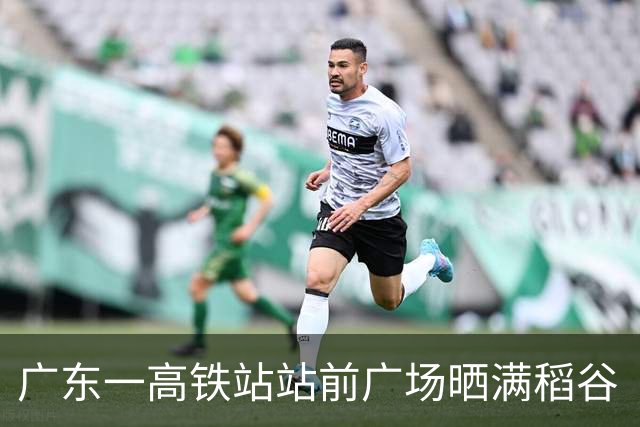 广东一高铁站站前广场晒满稻谷“治愈风”拉满，当地回应：不影响运行即可晾晒