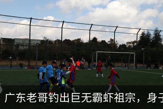 广东老哥钓出巨无霸虾祖宗，身子比胳膊还粗