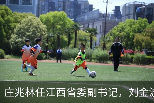 庄兆林任江西省委副书记，刘金波任江西省委委员、常委