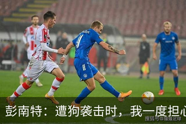 彭南特：遭狗袭击时，我一度担心会截肢