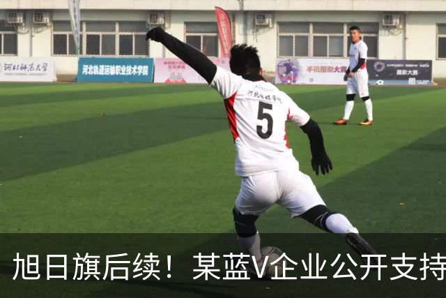 旭日旗后续！某蓝V企业公开支持“一起披”, 注销账号不是免罪金牌