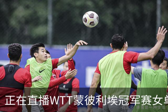 正在直播WTT蒙彼利埃冠军赛女单1/4决赛:王艺迪vs陈幸同