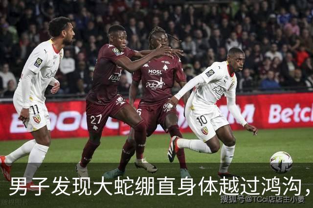 男子发现大蛇绷直身体越过鸿沟，核心力量惊人！戏称是仙家在修炼