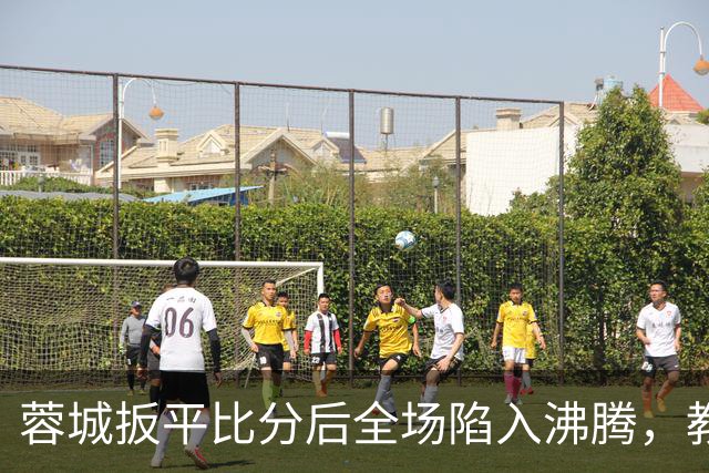 蓉城扳平比分后全场陷入沸腾，教练组冲入场内庆祝