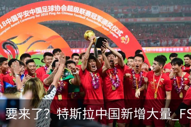要来了？特斯拉中国新增大量 FSD 功能和图标