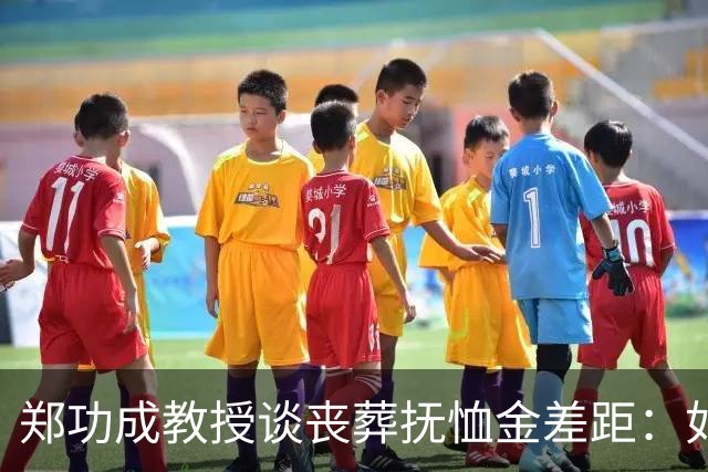 郑功成教授谈丧葬抚恤金差距：如果连死亡都无法抹平制度二元结构