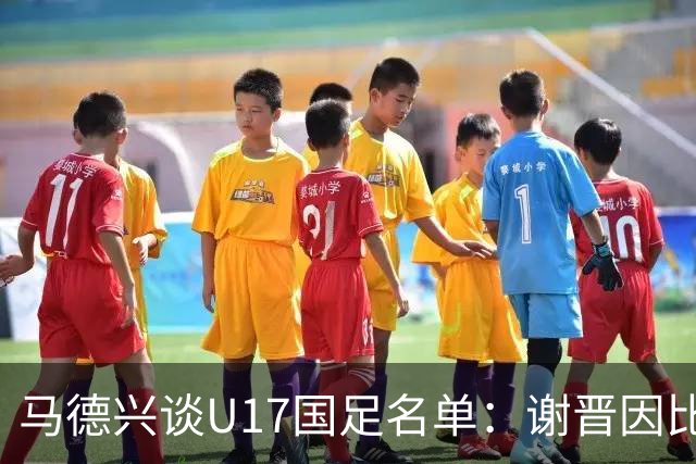 马德兴谈U17国足名单：谢晋因比赛偏少落选，张伯霖因伤病落选