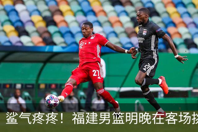 鲨气疼疼！福建男篮明晚在客场挑战卫冕冠军上海男篮