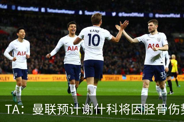 TA：曼联预计谢什科将因胫骨伤势至少缺阵至明年1月